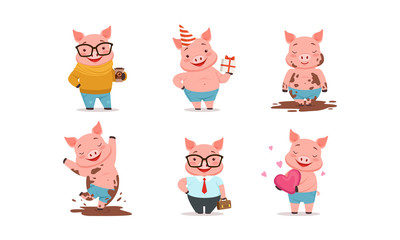 Poster - Funny Pigs Characters Drinking Coffee and Holding Gift Box Vector Set