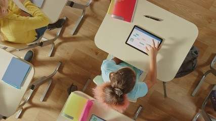 Wall Mural - elementary school computer science classroom: children sitting at their school desk using personal c