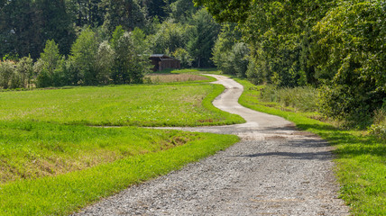 Wall Mural - edge of the wood