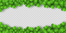 Banner For Saint Patricks Day. Realistic Green Clovers Isolated On Transparent Background. Vector Illustration