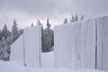 Winter landscape with mountains and frozen pine trees, fence, snowy meadows, cloudy sky