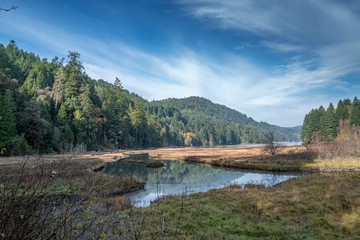 Canvas Print - Low angle shot of a lake in the Goldstream Park, Vancouver Island, BC Canada