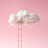 Fototapeta Kwiaty - Step ladder leading to clouds . Growth, future, development concept. Minimal pink compostition.
