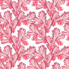  Fir and cones christmas illustration, seamess pattern.