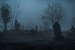 Graveyard in fog