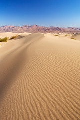 Wall Mural - Mesquite Flat Sand Dunes in Death Valley National Park