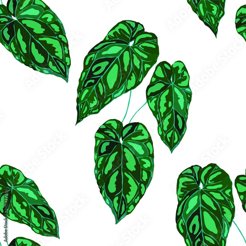 Seamless pattern with tropical leaves. Hand drawn exotic plants. Summer natur...