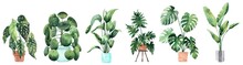 Watercolor Image With Tropical Leaves And Leaves Of Indoor Plants. Home Plant In Pots. Greenery. Juicy. Floral Design Element. Perfect For Invitations, Cards, Prints, Posters.