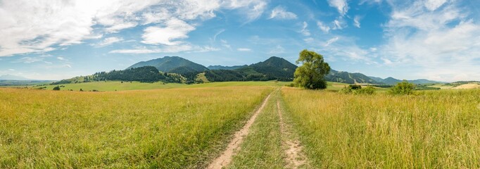 panorama view summer foothills landscape lower tatra mountains