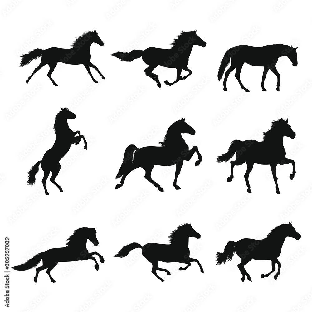 Horse Silhouettes Stock Vector | Adobe Stock