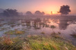 Sunrise over wetland in The Netherlands