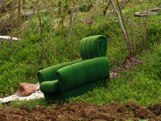 chair in garden