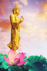 Golden Buddha statue standing on beautiful pink lotus flower pond against twilight sky