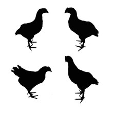 Set Of Silhouettes Of Birds