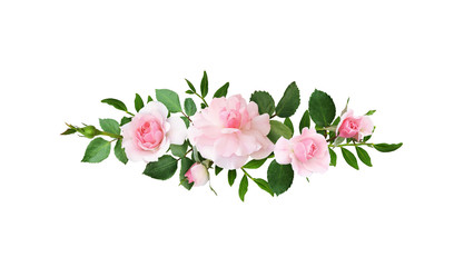 Wall Mural - pink rose flowers in a line arrangement