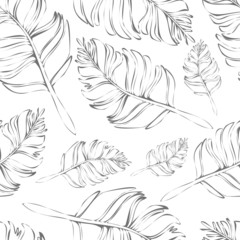  Seamless vector pattern with outlined feathers on white background. Simple wallpaper design. Gentle, soft fabric repeat texture.
