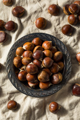 Canvas Print - Raw Organic Brown Chestnuts