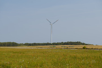 Wall Mural - Windturbine at sunny day