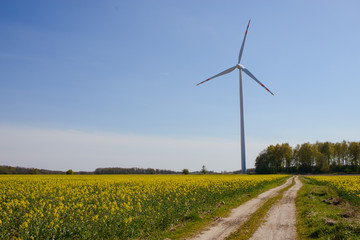 Wall Mural - Bright blue sky moving and wind turbine