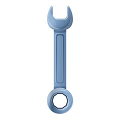 Wall Mural - Professional wrench icon. Cartoon of professional wrench vector icon for web design isolated on white background