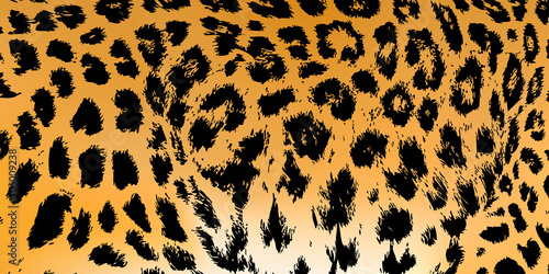 Photographie background texture leopard jaguar black white orange print