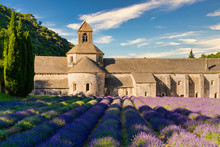 The Famous Abbaye Notre-Dame De Sénanque With Lavender Field In The Foreground, Provence, France