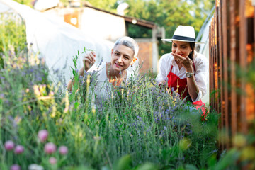 Mother and daughter working in garden.Women works in a garden.