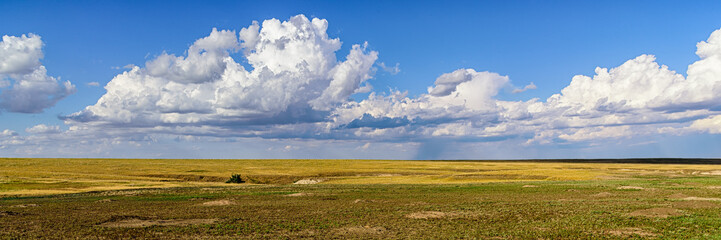 Wall Mural - Badland NP Prairie