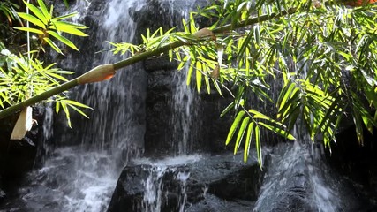 Wall Mural - tropical cascade waterfall in bali in lush tranquil jungle 