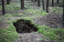 A Hole Dug Into A Forest Floor