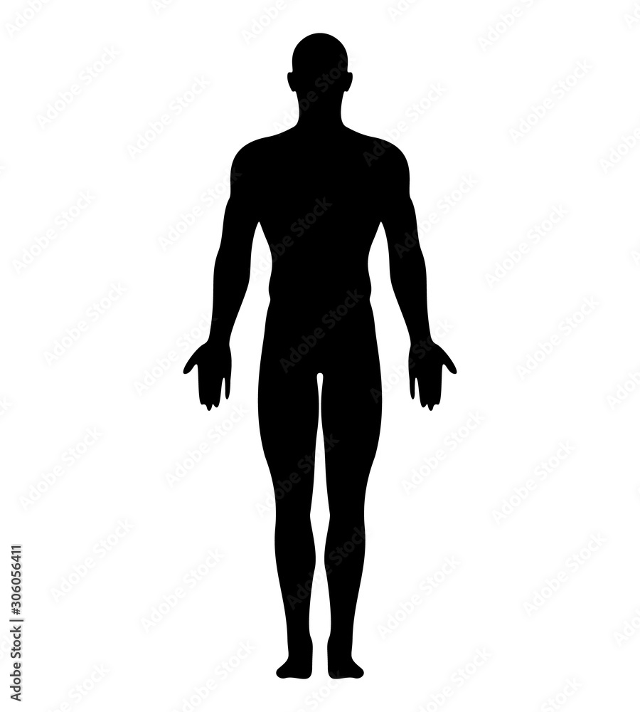 Anatomical Position Anterior View Male Body Vector Silhouette. - obrazy, fototapety, plakaty 