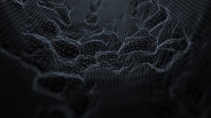 Wireframe Distortion Background Loop 1