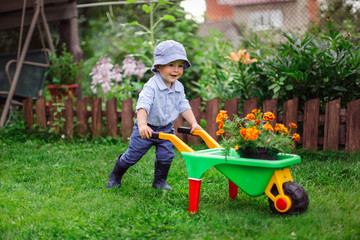 Little gardener, child plant flower in garden