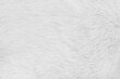 © Amphawan - Cat fur skin , animal short smooth patterns nature texture white gray background