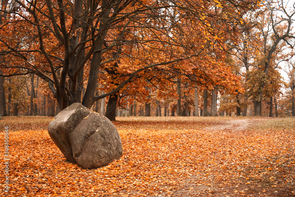 View of beautiful autumn park