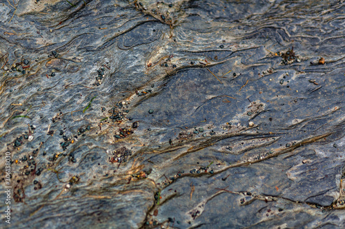 Fotografía Struktur, Textur von Stein und flechten in Irland
