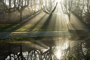 Wall Mural - sunbeams shining through the tree's on a foggy, autumn morning reflected in a pond.
