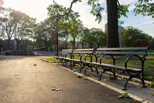 Row Of Empty Wooden Benches At Astoria Park In Queens New York