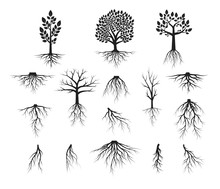 Vector Isolated Illustration Of Big Set Of Trees With Roots, Forest Plant Silhouettes. 