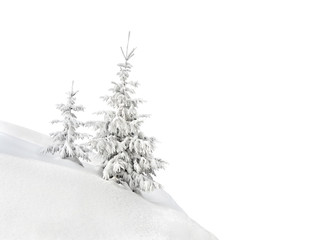 Wall Mural - fir trees covered snow on white background with space for text