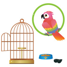 Color Images Of Colorful Parrot And Bird Cage On White Background. Pets. Vector Illustration Set For Kids.