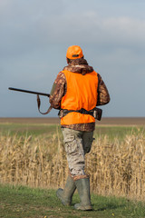 A man with a gun in his hands and an orange vest on a pheasant hunt in a wooded area in cloudy weather. Hunter with dogs in search of game.