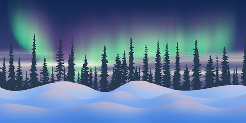 Wall Mural - fantasy on the theme of the northern landscape. night and polar lights. forest and snowdrifts. vecto
