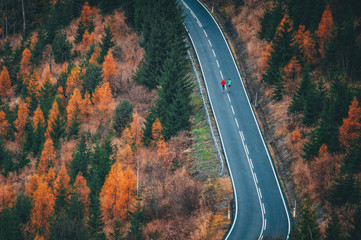 Wall Mural - Healthy running runner man workout on mountain road. Jogging male fitness model working out training for marathon on forest road in amazing nature landscape.