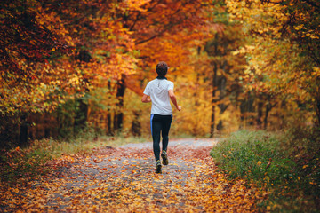 Wall Mural - Trail runner in colorful autumn nature. Athlete training in Carpathian forest