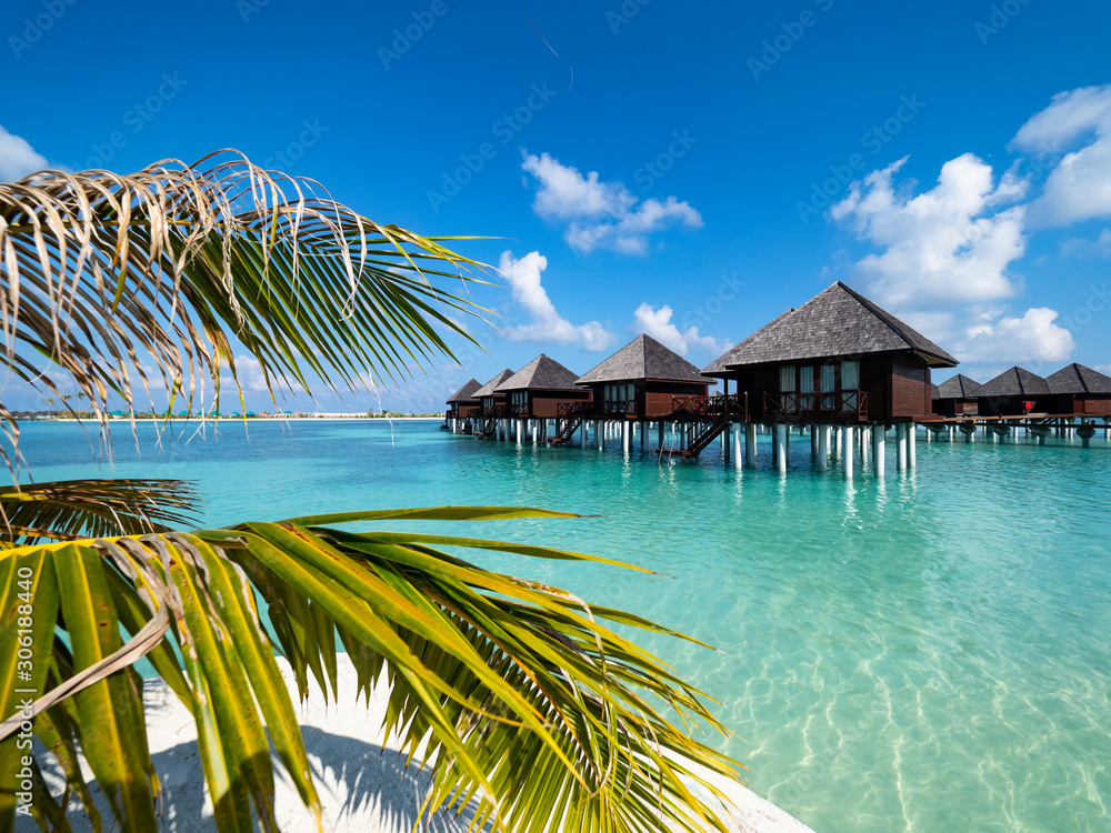 Maldives island with beach water bungalows and palm trees, South Male Atoll, Maldives - obrazy, fototapety, plakaty 