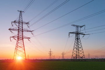 Wall Mural - electrical net of poles on a panorama of blue sky and green meadow