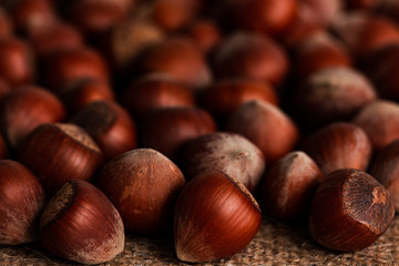 Wall Mural - fresh shelled hazelnuts, hazelnuts background