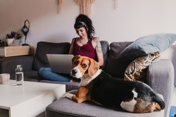 young pregnant woman at home working on laptop. cute beagle dog besides