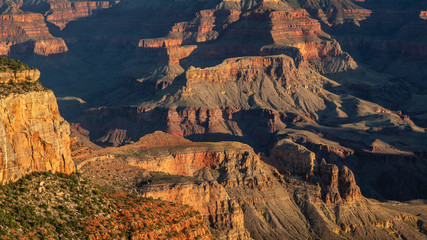 Wall Mural - Early Morning Sun, Grand Canyon National Park - Shoshone Point